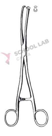 Forceps,uterine,Museux,240mm,cvd